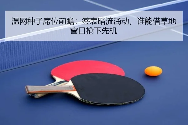 温网种子席位前瞻：签表暗流涌动，谁能借草地窗口抢下先机